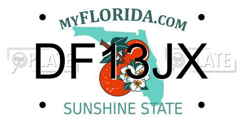 DF13JX Florida License Plate