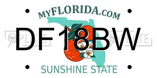 DF18BW Florida License Plate