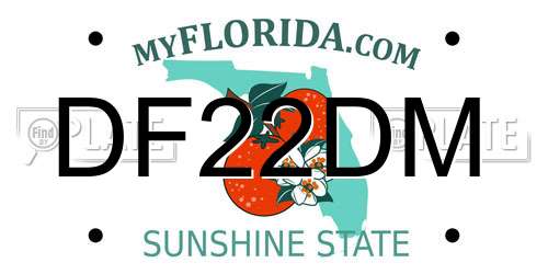 DF22DM Florida License Plate