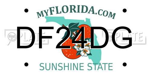 DF24DG Florida License Plate