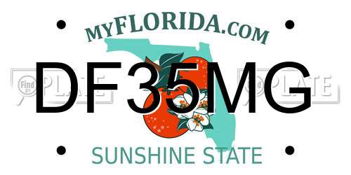 DF35MG Florida License Plate