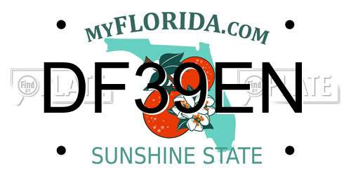 DF39EN Florida License Plate