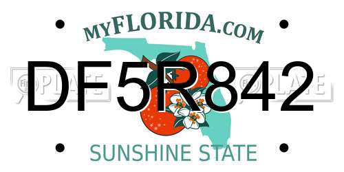 DF5R842 Florida License Plate