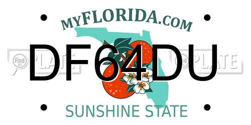 DF64DU Florida License Plate