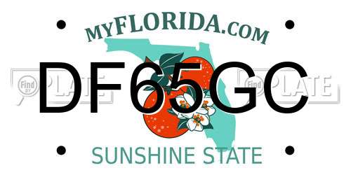 DF65GC Florida License Plate