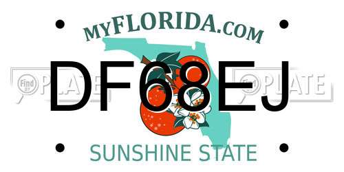 DF68EJ Florida License Plate