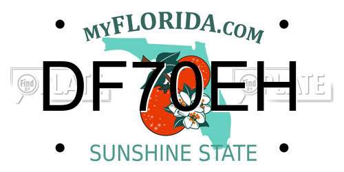 DF70EH Florida License Plate