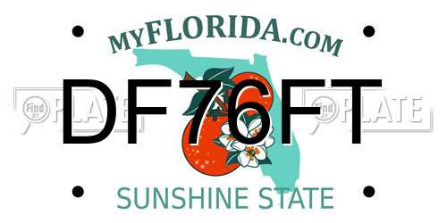 DF76FT Florida License Plate
