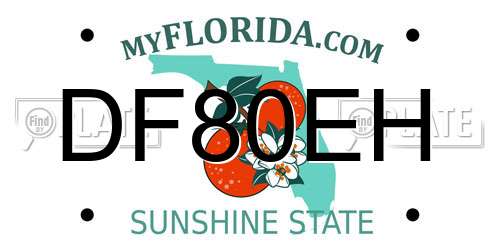 DF80EH Florida License Plate