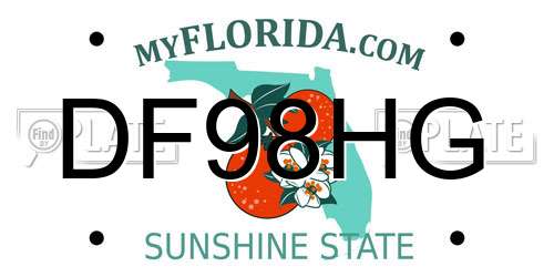 DF98HG Florida License Plate