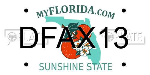 DFAX13 Florida License Plate