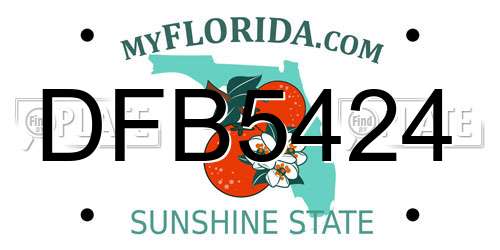 DFB5424 Florida License Plate