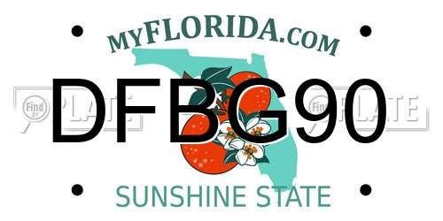 DFBG90 Florida License Plate