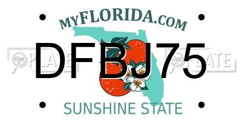 DFBJ75 Florida License Plate