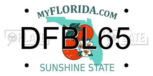 DFBL65 Florida License Plate