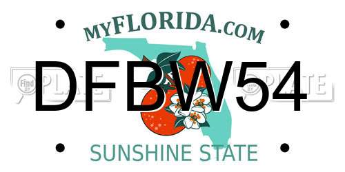 DFBW54 Florida License Plate