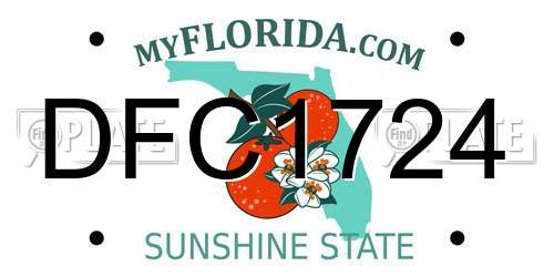 DFC1724 Florida License Plate