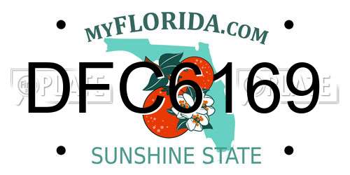 DFC6169 Florida License Plate