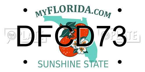 DFCD73 Florida License Plate