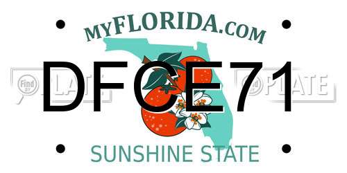 DFCE71 Florida License Plate