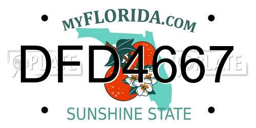 DFD4667 Florida License Plate