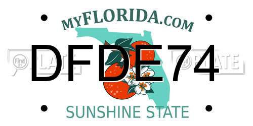 DFDE74 Florida License Plate