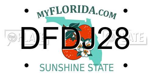 DFDJ28 Florida License Plate