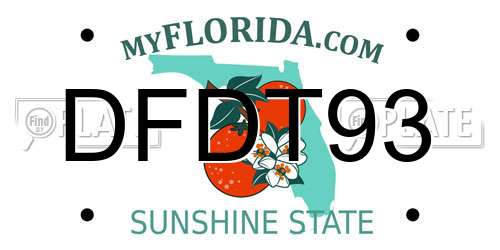 DFDT93 Florida License Plate