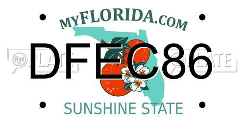 DFEC86 Florida License Plate
