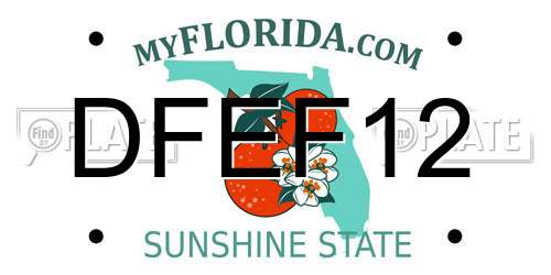 DFEF12 Florida License Plate