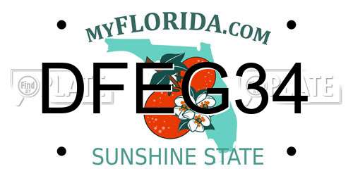 DFEG34 Florida License Plate