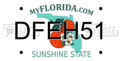 DFEH51 Florida License Plate
