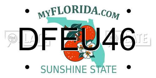 DFEU46 Florida License Plate