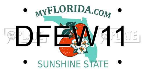 DFEW11 Florida License Plate