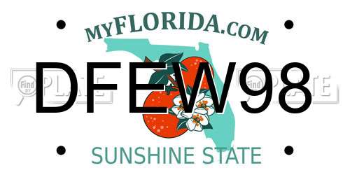 DFEW98 Florida License Plate