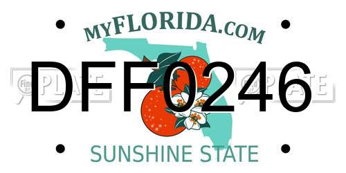 DFF0246 Florida License Plate