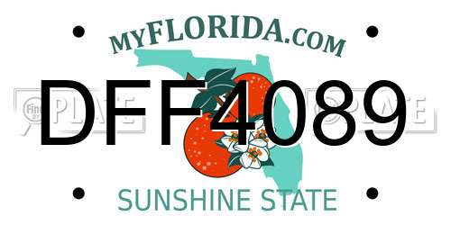 DFF4089 Florida License Plate