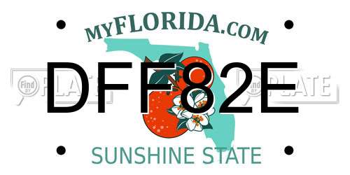 DFF82E Florida License Plate
