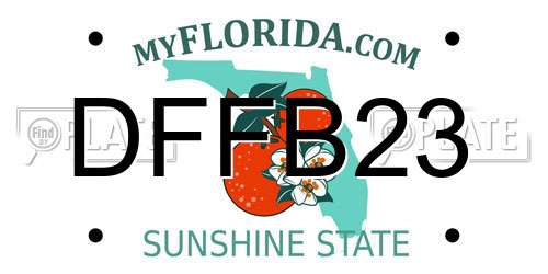 DFFB23 Florida License Plate