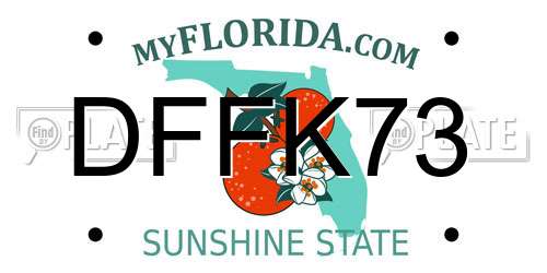 DFFK73 Florida License Plate
