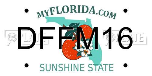 DFFM16 Florida License Plate