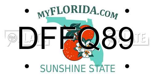 DFFQ89 Florida License Plate