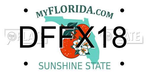 DFFX18 Florida License Plate