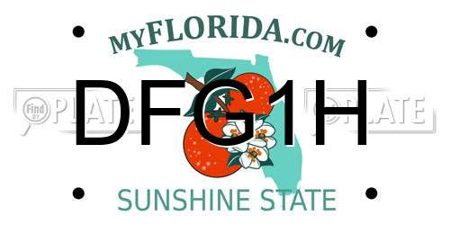 DFG1H Florida License Plate