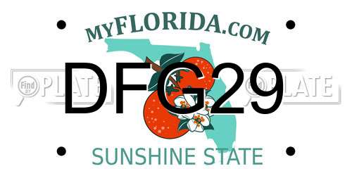 DFG29 Florida License Plate