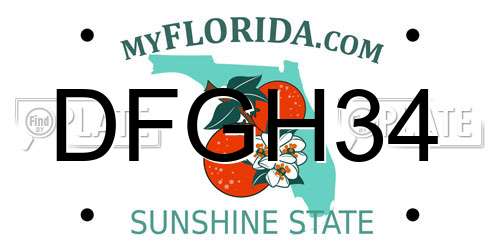 DFGH34 Florida License Plate