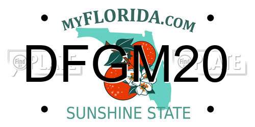 DFGM20 Florida License Plate