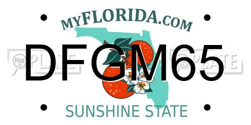 DFGM65 Florida License Plate