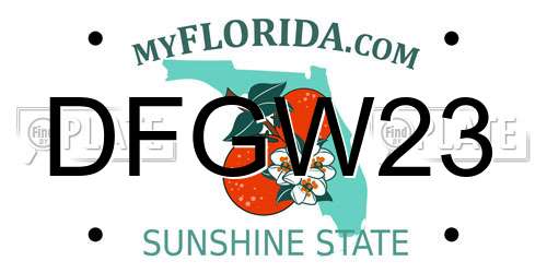 DFGW23 Florida License Plate