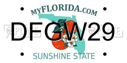 DFGW29 Florida License Plate